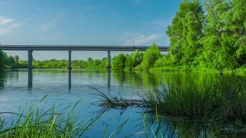 Green Trees Forest At The River Bridge Cars Motion