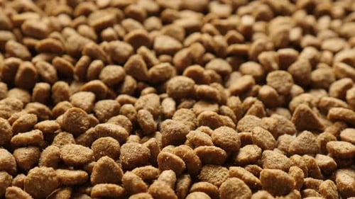 Pellets for cats or dogs close-up 2160p 30fps UltraHD tilting footage - Slow tilt on pet dry food m