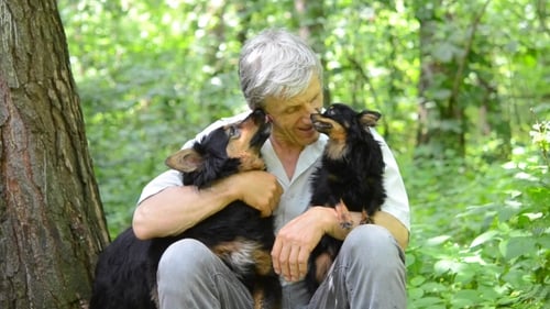 Two Dogs Lick Master In The Forest, 1080