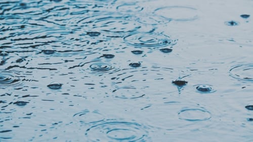 Rain Drops on Water