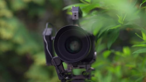 Camera with Lens Surrounded by Lush Greenery