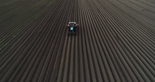 The Tractor Goes Across The Field With Plowing And Plants Carrots