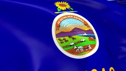 Waving Kansas State Flag with Realistic Fabric Movement