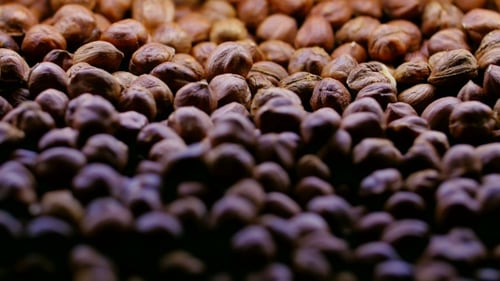 Close Up of Brown Shelled Hazelnuts