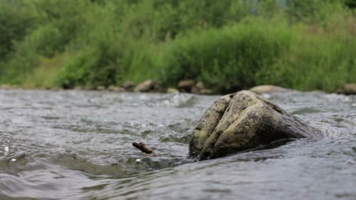 Mountain Clean River