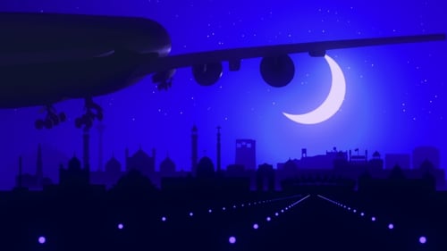 Delhi India Airplane Landing Skyline Moonlight Night