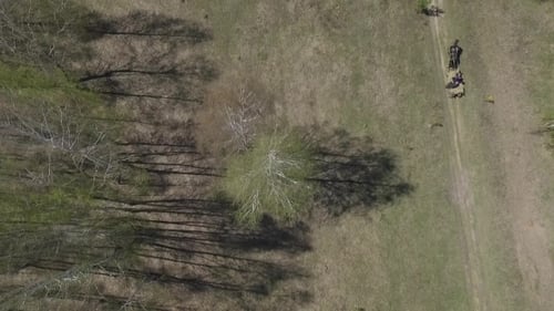 Two Farmers Riding On a Horse Carriage In Trees