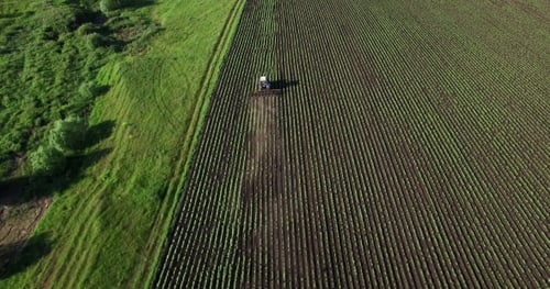 Tractor Plowing a Field