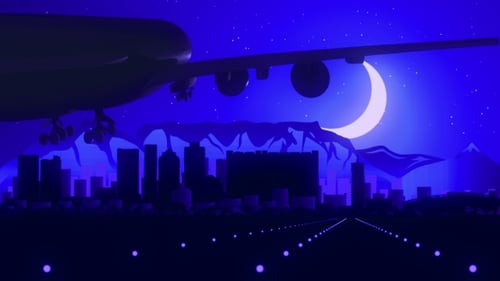 Cape Town South Africa Airplane Landing Skyline Moonlight Night