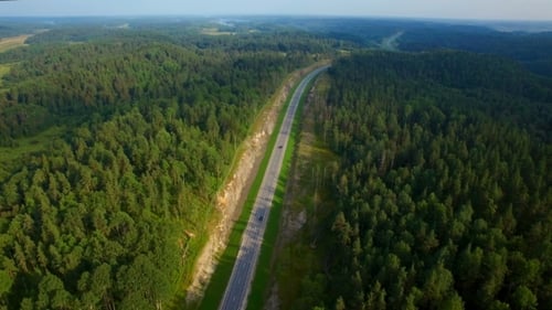 Aerial View Of Cars Driving On a Road In The Woods