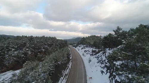 Asphalt road in the snowy forest.