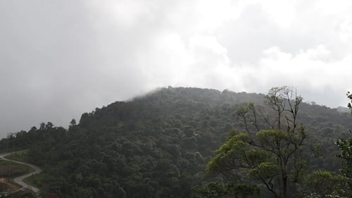 Rain On Mountain