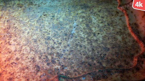 Rusty Old Surface 407