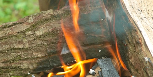 Bonfire