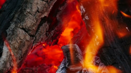 Campfire