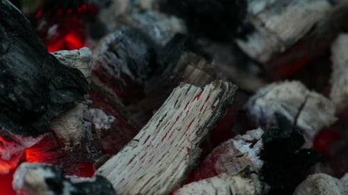 Burning Charcoal Embers Glowing Red Heat Close-Up