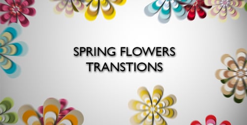 Spring Flowers Transitions