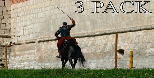 Men on Horseback Jousting in Historical Reenactment