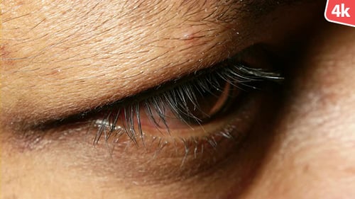 Extreme Close Up of an Eye with Lashes