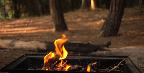 Fire Burning Brightly in a Metal Fire Pit