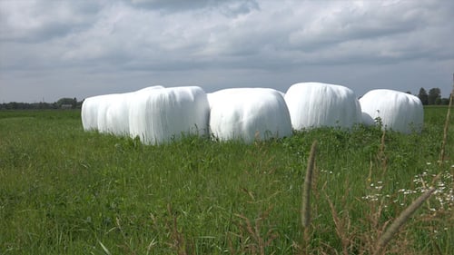 Silage-Rollen