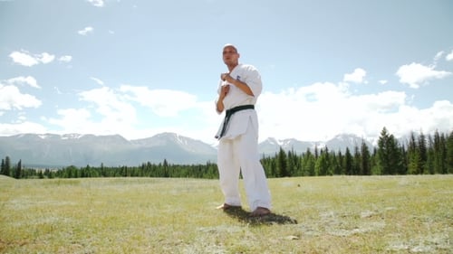Man Performing Karate Kicks in Mountain Field
