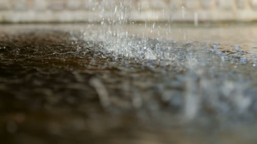 Of The Dripping Water, In The Sunlight.