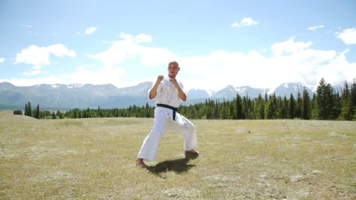 Man Practices Karate Kicks Outdoors on Sunny Day