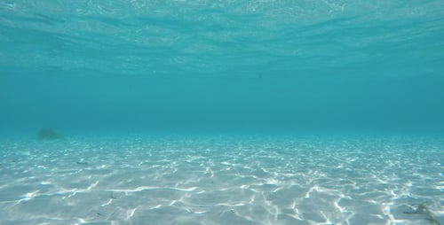 Underwater View of Tropical Sandy Ocean Bottom