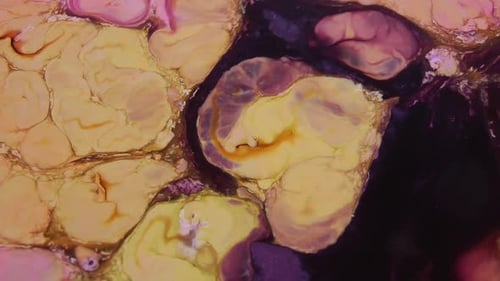 Abstract Flowing Colors and Paint