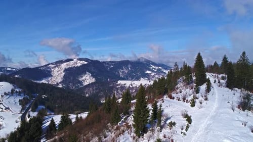 Winter Snow Trees. Aerial View Fly Over. Nature