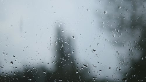 Raindrops on a Window with Blurred Trees