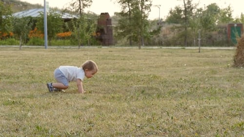 Young Happy Little Boy Smiling Greeting Someone In The Park