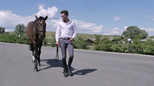 Young Man Walking With Horse Near The Horse Club