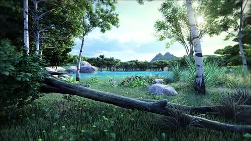 River Forest Morning Sunrise