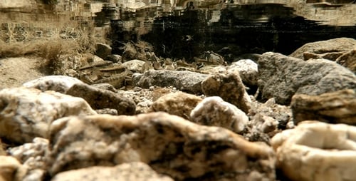 Small Fishes in a River Pool 1