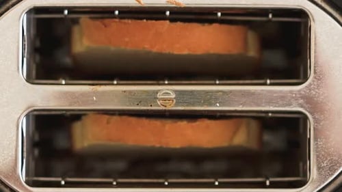 Slices of Bread Toasting in the Toaster