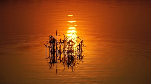 Reflection of the Sunset on the Water