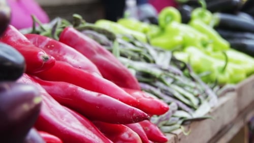 Showcase Vegetables