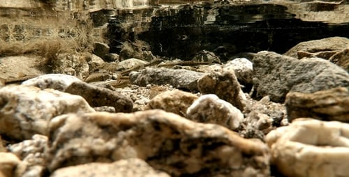 Small Fishes in a River Pool 2
