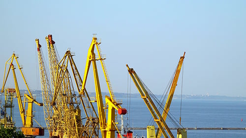 Working Cranes in the Seaport