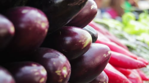 Fresh Vegetables For Sale at an Outdoor Market