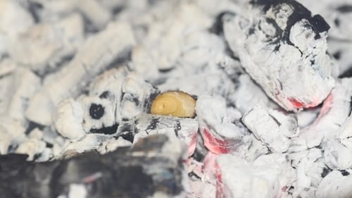 Bright Coals, Le Feu