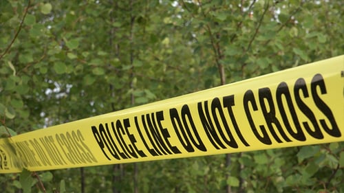 Police Line Tape in Forested Area