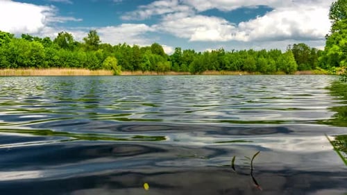 Calm lake in green city park.