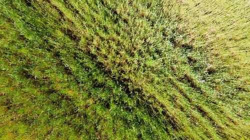 Aerial drone view of a flying over the rural agricultural landscape.