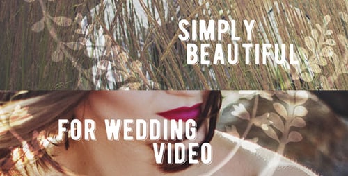 Elegant Hand-Drawn Wreath Overlays for Wedding Videos