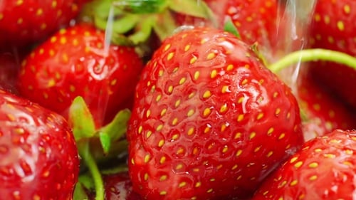Laver les fraises à l'eau.