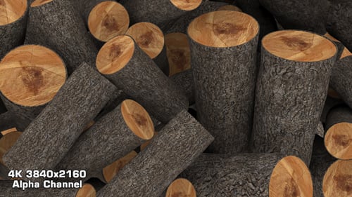 Realistic Wood Logs Falling Transition