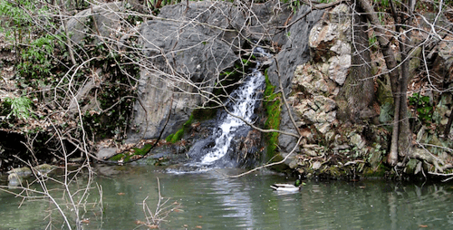 Cascade du lac Central Park